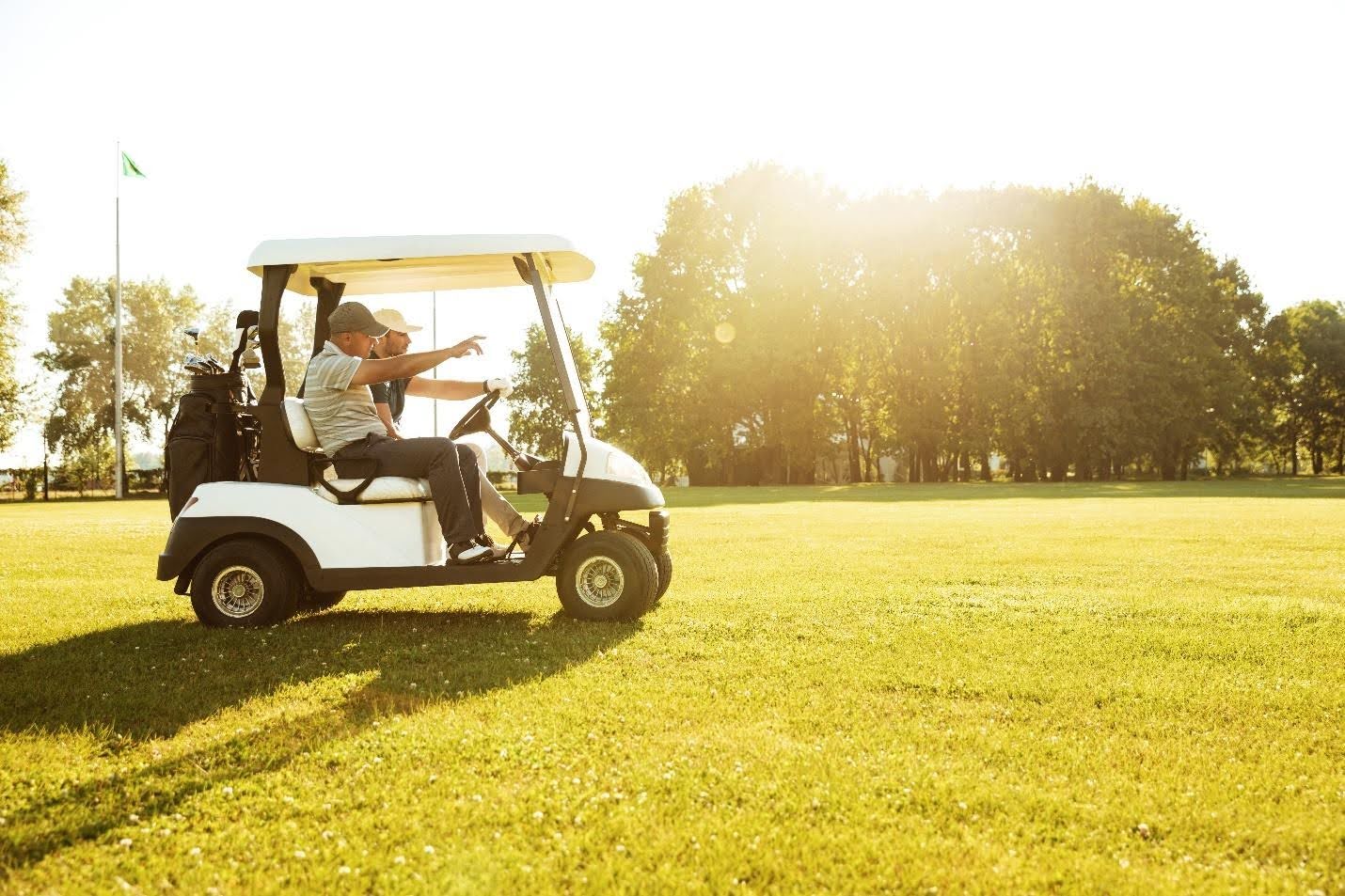 Golf Cart Battery
